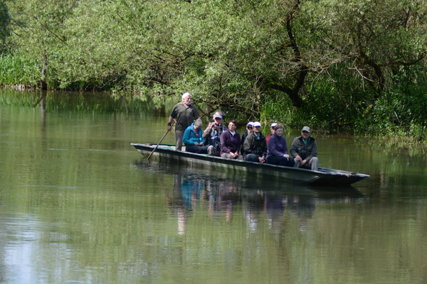 dag5_taubergiessen34