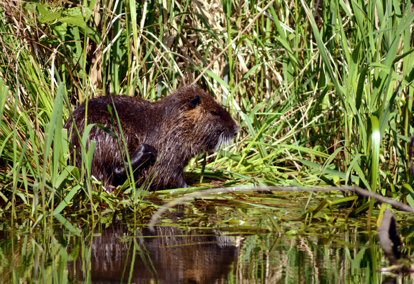 dag5_taubergiessen35
