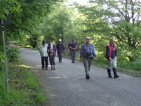 dag5_taubergiessen46