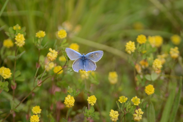 dag5_zuckerbrucke009