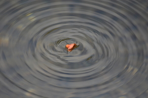 dag5_zuckerbrucke011
