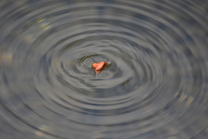 dag5_zuckerbrucke011