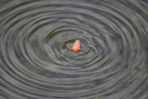 dag5_zuckerbrucke012