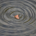 dag5_zuckerbrucke013