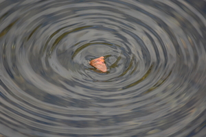 dag5_zuckerbrucke013