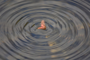 dag5_zuckerbrucke014