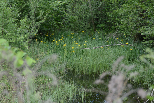 dag5_zuckerbrucke018