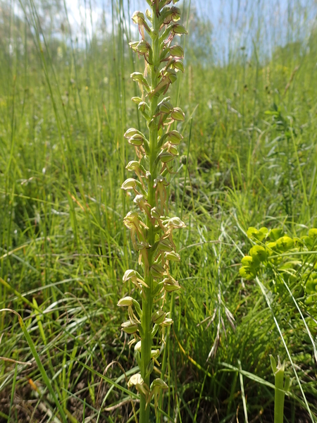 dag5_zuckerbrucke086