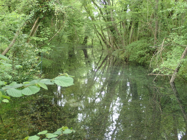 dag5_zuckerbrucke101
