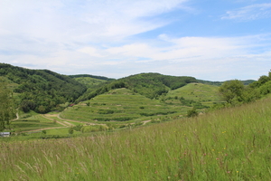 IMG_3392