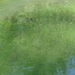 DSC06157