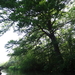 DSC06168