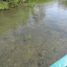 DSC06194