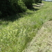 DSC06217