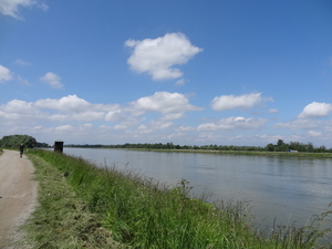 DSC06219
