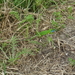 DSC06381