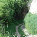 DSCN0480