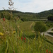 DSCN0481