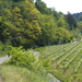 DSCN0499