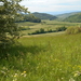 DSCN0522 - kopie