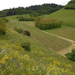 DSCN0526
