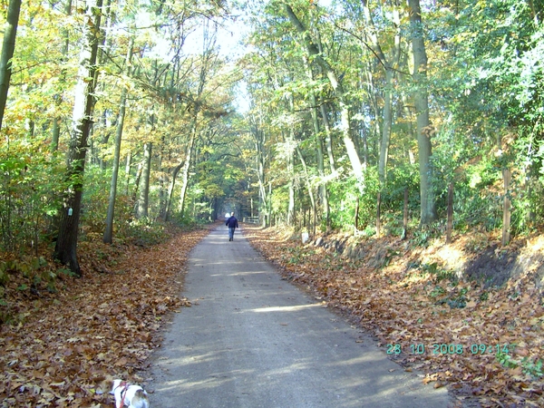 2008-10(okt) 28 Tessenderlo 002