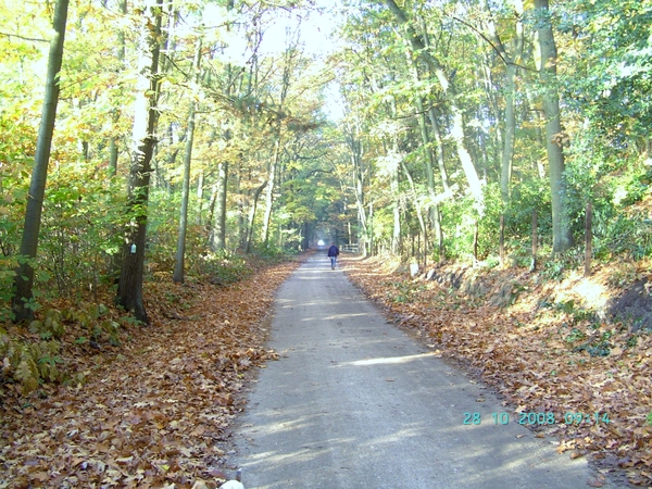 2008-10(okt) 28 Tessenderlo 003