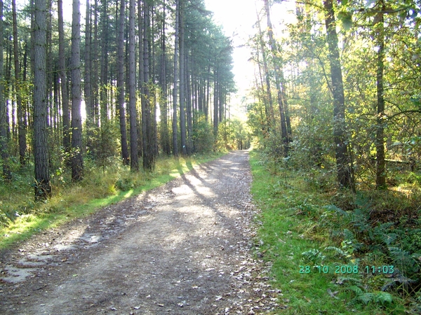 2008-10(okt) 28 Tessenderlo 004