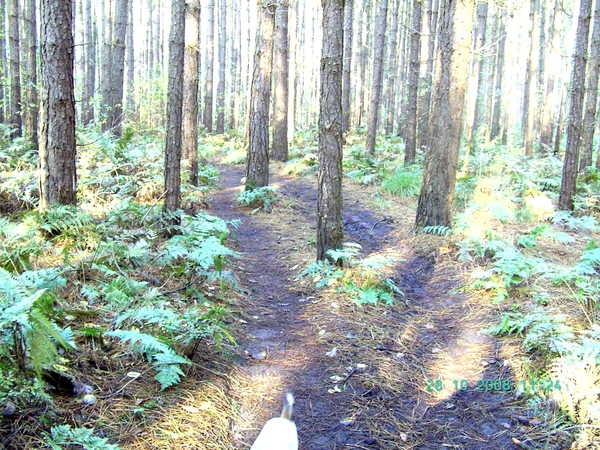 2008-10(okt) 28 Tessenderlo 005