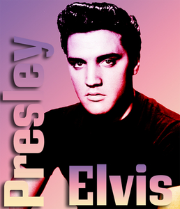 Elvis--must have-zeg het met woorden les