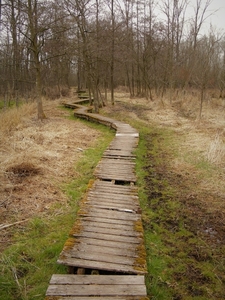 2018_03_23 Wellemeersen Denderleeuw 21