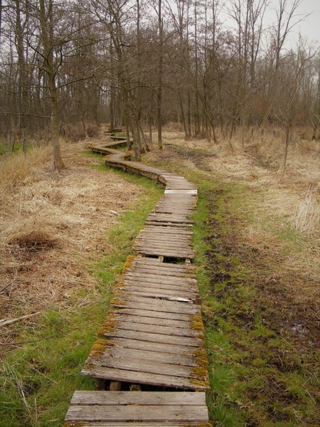 Wellemeersen Denderleeuw