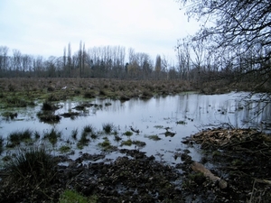 2018_03_23 Wellemeersen Denderleeuw 36