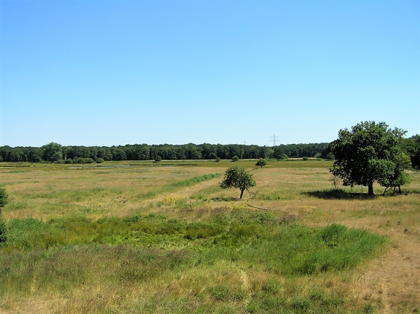 P7020007