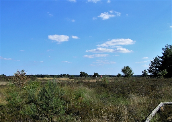 P7080006