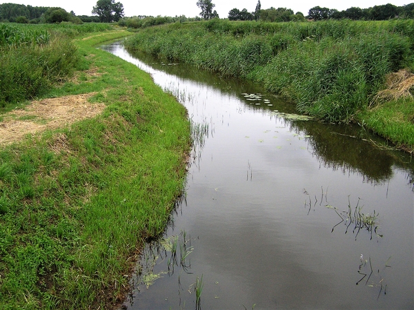 P7090008
