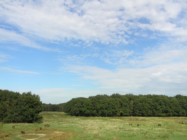 P9090009