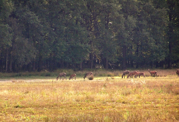 P9300007