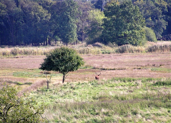 P9300039