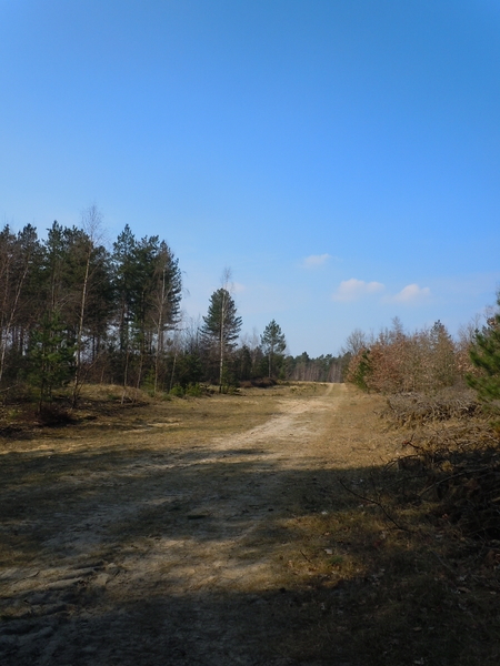 DSCN4038