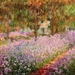 Irises-In-Monets-Garden