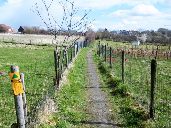 Lentetocht Pajotten Pamel