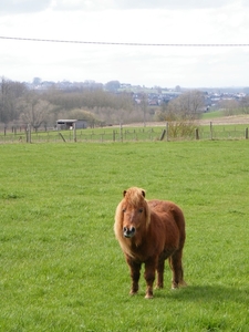 2018_03_31 Lentetocht Ledeberg Pamel 19