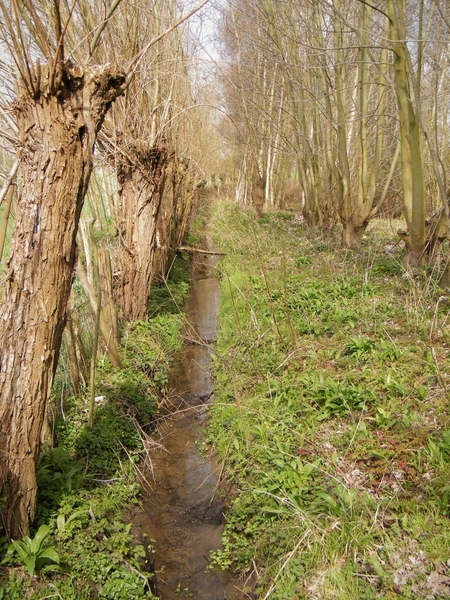 Lentetocht Pajotten Pamel