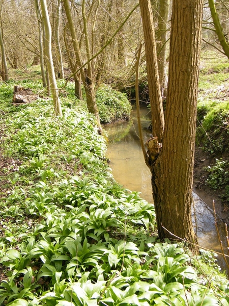 Lentetocht Pajotten Pamel