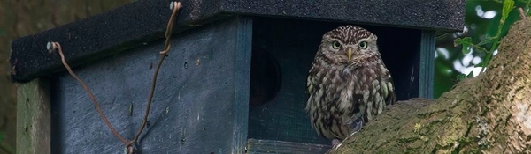 Natuurpunt Denderleeuw
