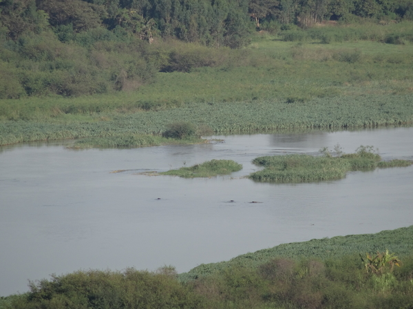 3 Bahir Dar--Gondar, Tanameer _DSC00191