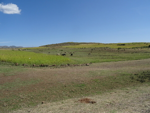 3B Bahir Dar--Gondar _DSC00252