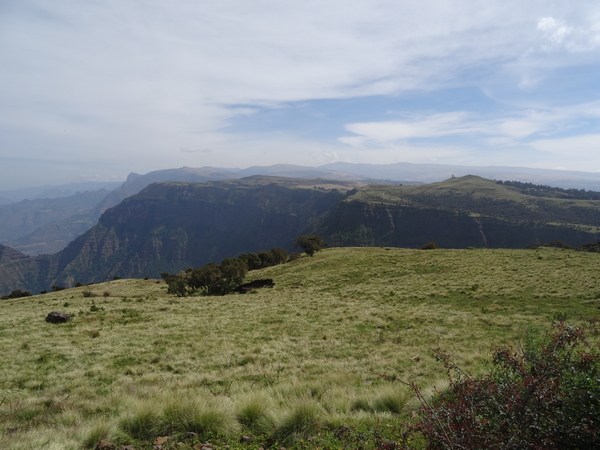 4C Simien mountains NP _DSC00353