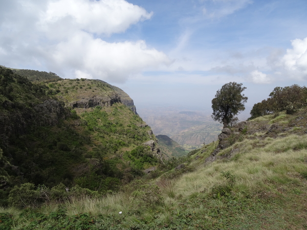 4C Simien mountains NP _DSC00386